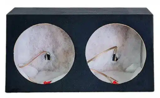 Dual Carpeted 12" Subbox - SB212